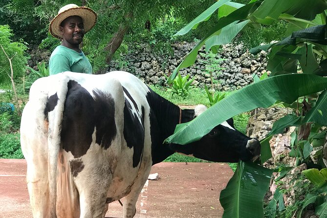 3 Hour Community Walking Tour - Permaculture Farm Tour: When Food Systems Become a Community Lesson