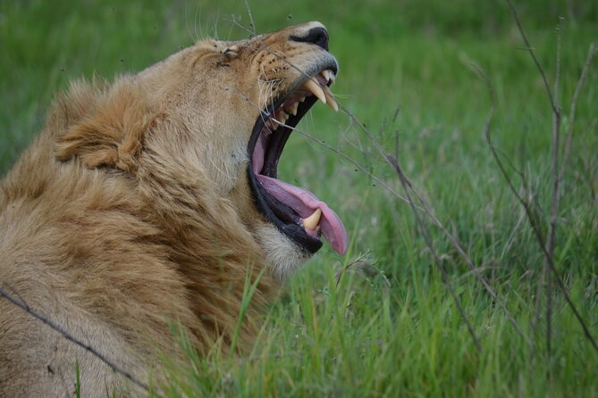 3Days Safari to Tarangire Ngorongoro and manyara lodge safari - Northern Tanzania in 3 days, with a real sense of variety
