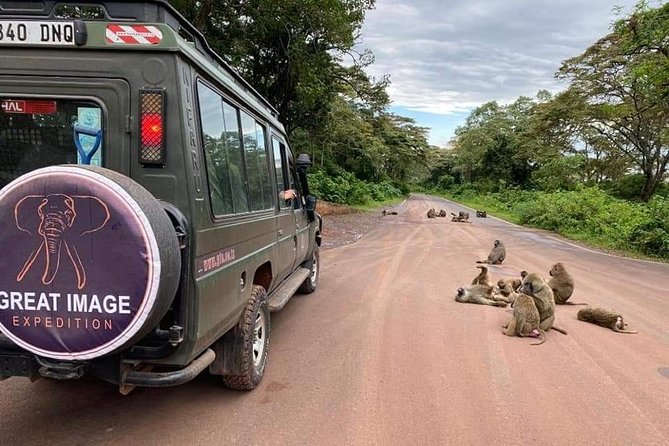 3days Serengeti National park and Ngorongoro Crater Tanzania Safari - Day 1: Arusha to Serengeti at 7 AM, then dinner in the park