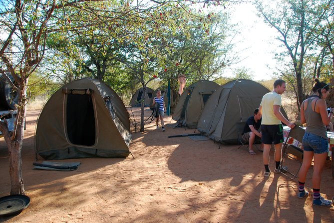 4-Day Basic Safari with Serengeti, Ngorongoro, & Tarangire - Day 4 Ngorongoro Conservation Area: the 600-meter crater descent and dense wildlife in one bowl