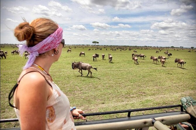 4-Day Basic Safari with Serengeti, Ngorongoro, & Tarangire - The safari vehicle and guides: how you get better viewing without more stress