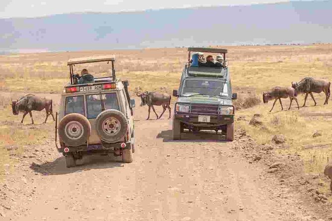 4-Day Basic Safari with Serengeti, Ngorongoro, & Tarangire - Day 1 in Tarangire National Park: baobabs, the Tarangire River, and big-elephant country