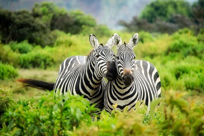 4-Day Budget Tarangire, Serengeti, Ngorongoro Safari Guided Tour - Price and logistics: why $1,000 can still feel fair here