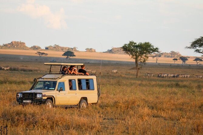 4-Day Budget Tarangire, Serengeti, Ngorongoro Safari Guided Tour - Tarangire National Park: watering-hole drama in the dry season