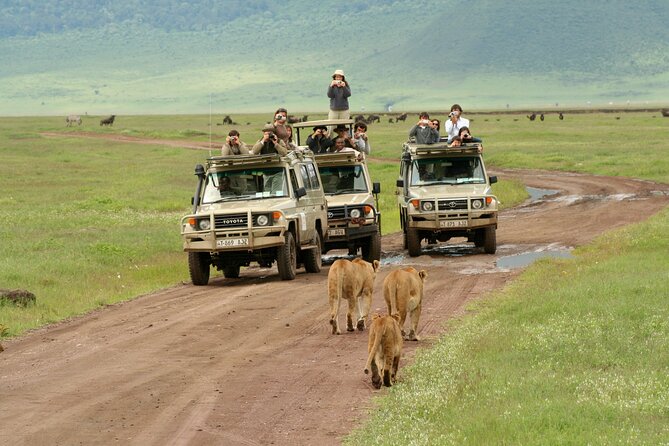 4-Day Camping on the Big Five Private Safari - Camping reality: tents, sleeping gear, and meal rhythm that keeps you going