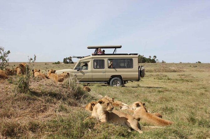 4 Day Great Migration Safari Serengeti & Ngorongoro Crater - Value and What You Actually Pay For