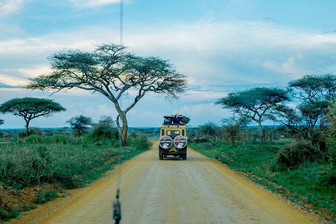 4-Day Group Joining Safari in Tanzania | Shared Safari - How good is the value at $998 per person?