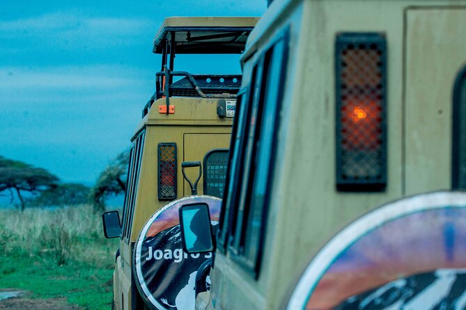 4-Day Group Joining Safari in Tanzania | Shared Safari - Day 1 Tarangire National Park: elephants, baobabs, and the first big wildlife payoff
