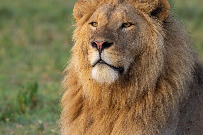 4-Day Group Tour to Tarangire, Serengeti, Ngorongoro - Lodge - The route that balances big animals and real variety