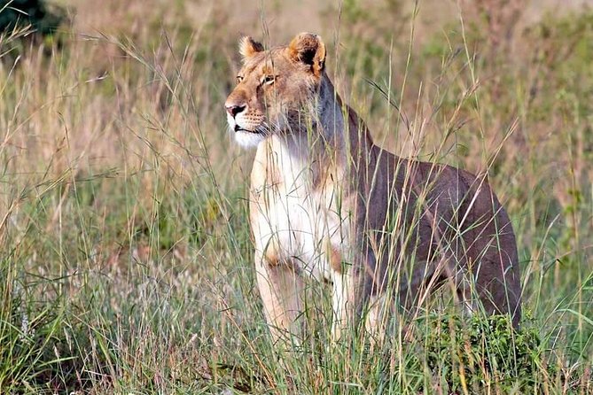 4-Day Group Tour to Tarangire, Serengeti, Ngorongoro - Lodge - Price and value: is $1,760 a fair deal?