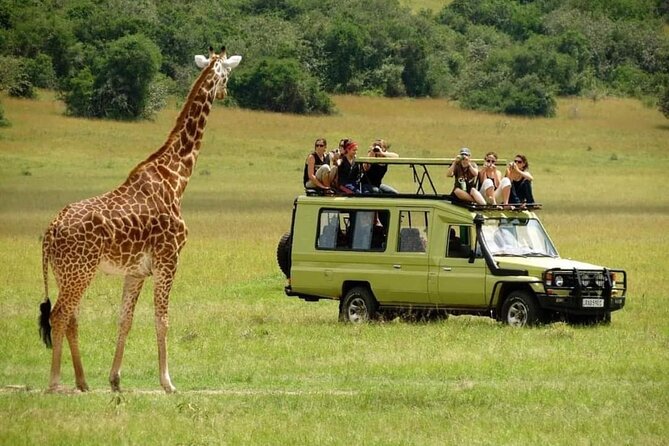 4-Day Majestic Group Tour in Safari - Tarangire day: elephants, baobabs, and tree-top surprises