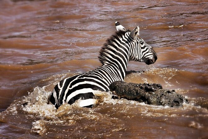 4-Day Manyara Serengeti and Ngorongoro Wonders Budget Safari Tour - Northern Circuit in Four Days, What This Route Really Delivers