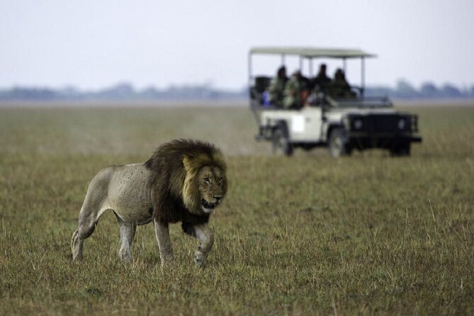 4-Day Manyara Serengeti and Ngorongoro Wonders Budget Safari Tour - Meals, Camping-Style Nights, and What to Pack