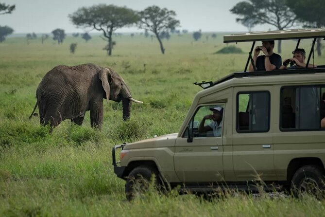 4 Day Ngorongoro Crater Tarangire and Serengeti National Park - Day 3 sunrise game drive, then onward to Ngorongoro Simba Campsite