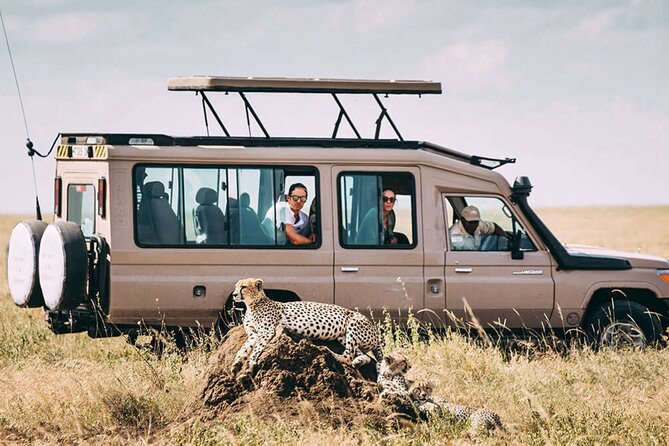4 Day Ngorongoro Crater Tarangire and Serengeti National Park - Day 4 Ngorongoro Crater: 650 meters down for a half-day game tour