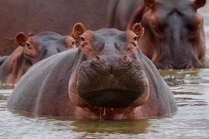 4-Day Northern Tanzania Camping Tour Safari - Price and Value: Is $1,040 Fair for This Route?