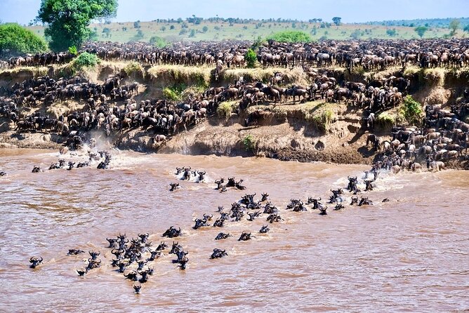 4-Day Northern Tanzania Camping Tour Safari - Serengeti: The Light, the Timing, and the Migration Story