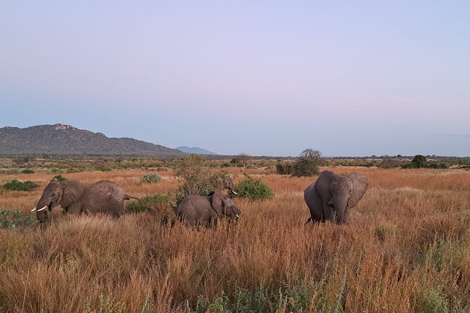 4-Day Private Lake Natron and Serengeti Wildlife Safari - Day 2 Serengeti National Park via Maasai homeland