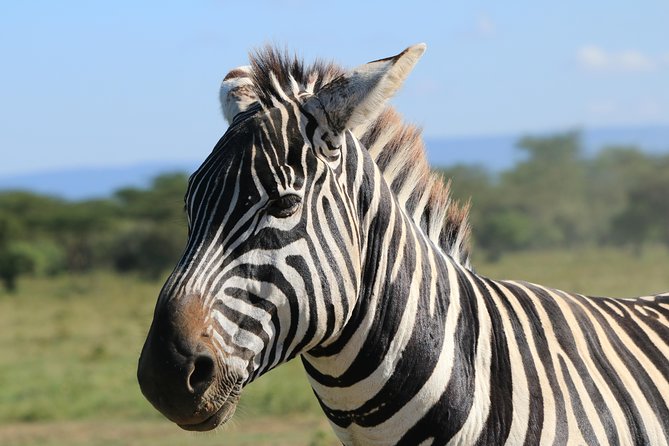 4-Day Safari in Tarangire, Serengeti & Ngorongoro (Mid-range) - The mid-range price: what $3,210 includes, and what to budget for