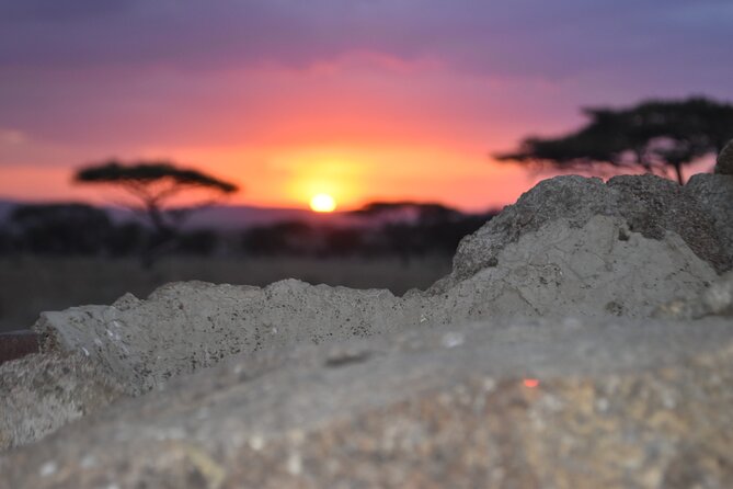 4 Day Safari- Tarangire,Ngorongoro and Serengeti - Ngorongoro Conservation Area: crater views, Big Five odds, and rhino hopes