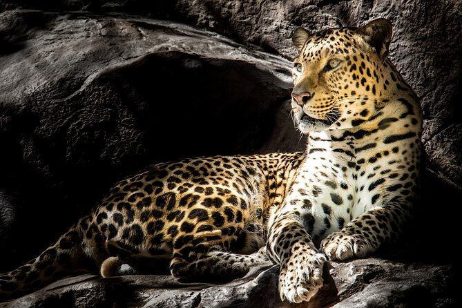 4 Day Safari- Tarangire,Ngorongoro and Serengeti - Vehicle comfort: open-roof driving plus the small gear details
