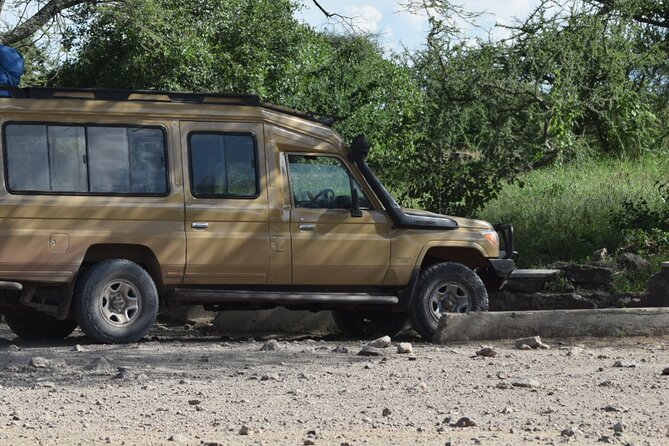 4-Day Safari to Tarangire ,Serengeti and Ngorongoro crater from Arusha - Day 4 at Ngorongoro Conservation Area: early morning crater viewing and black rhino country