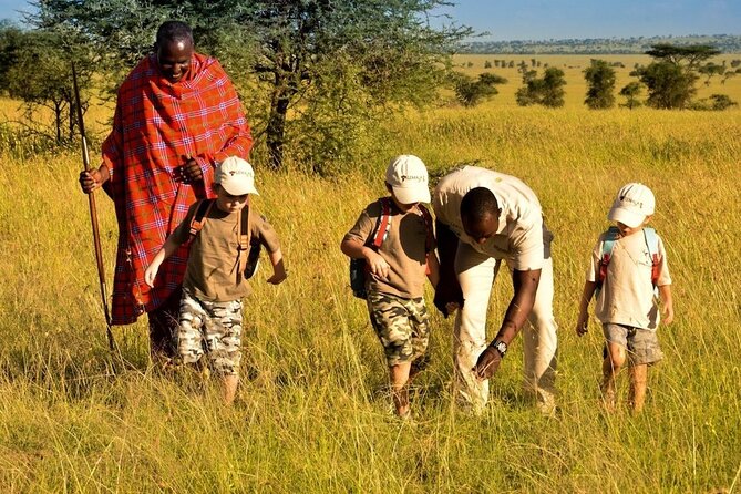 4-Day Safari to Tarangire ,Serengeti and Ngorongoro crater from Arusha - Price and value: what $1,515 buys you, and where the costs really land