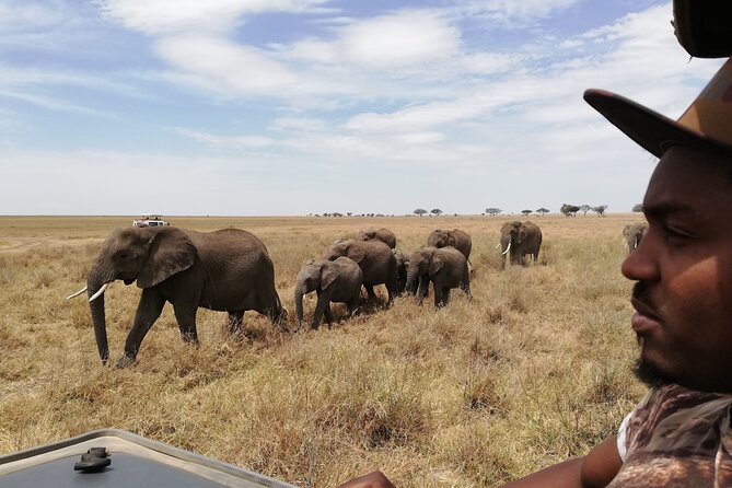 4-Day Safari to Tarangire, Serengeti and Ngorongoro from Arusha - Join a group - Day 3 in Serengeti into Ngorongoro: early drives, then a crater rim night (bring warm clothes)