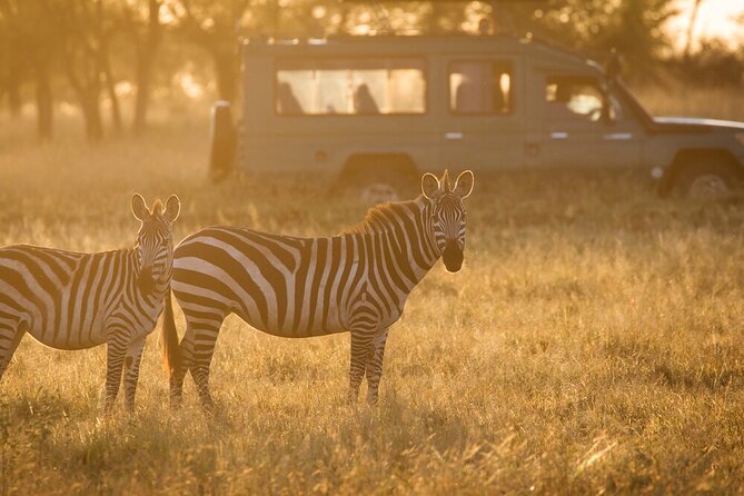 4-Day Serengeti, Ngorongoro, & Lake Manyara Budget Tour - Arusha pickup and the meaning of a 6:30 am start