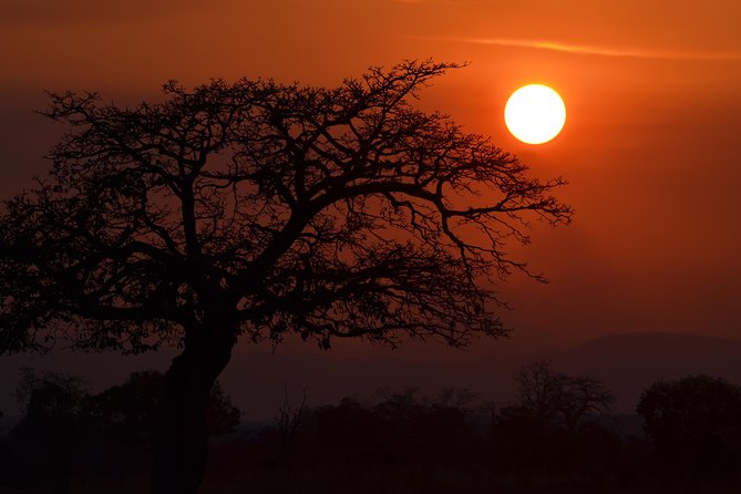 4 Day Serengeti & Ngorongoro Safari Wildlife Wonders of Tanzania - Day 4: Morning Ngorongoro, Crater Picnic, Then Back to Arusha