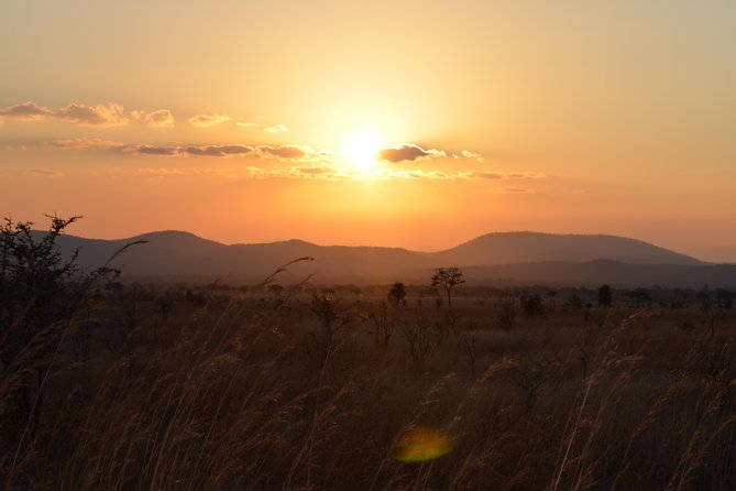 4 Day Serengeti & Ngorongoro Safari Wildlife Wonders of Tanzania - Day 2: Two Serengeti Drives With Camp Breakfast and Breathers
