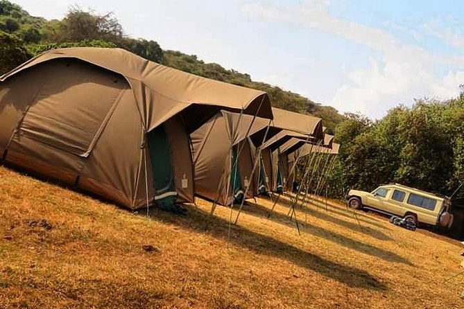 4-Day Serengeti, Ngorongoro,Tarangire safari - Guides and small-group style: why names like Jackson and Mille matter