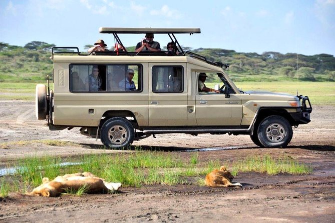 4-Day Tanzania Camping Safari to Lake Manyara, Serengeti, and Ngorongoro Crater - Day 2 in Serengeti: Bigger Search Area, More Chances to Find Animals