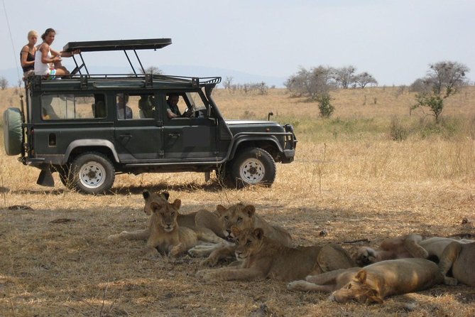 4-Day Tanzania Camping Safari to Lake Manyara, Serengeti, and Ngorongoro Crater - Day 4 Ngorongoro Crater Floor: The Big Views Moment and a Hippo Pool Lunch