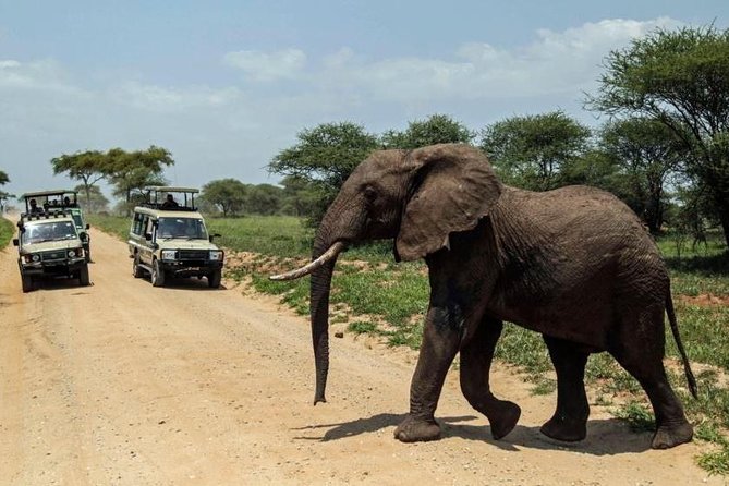 4-Day Tanzania Camping Safari to Lake Manyara, Serengeti, and Ngorongoro Crater - Camping, Tents, and Meals: Comfort Where It Matters