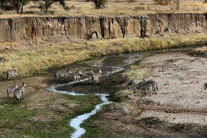 4 Day Tanzania Luxury Safari - Day 3 Toward Ngorongoro: Early Morning Game Drive and Olduvai Gorge Real-Life Human History