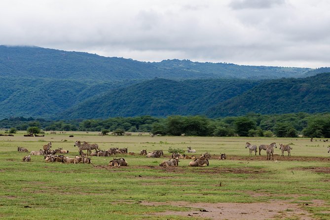 4-day Tanzania Safari - Price and logistics: what you’re really paying for