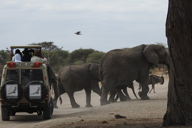 4-Day Tarangire, Serengeti, Ngorongoro Crater - Why this 4-day safari loop makes sense for first-timers