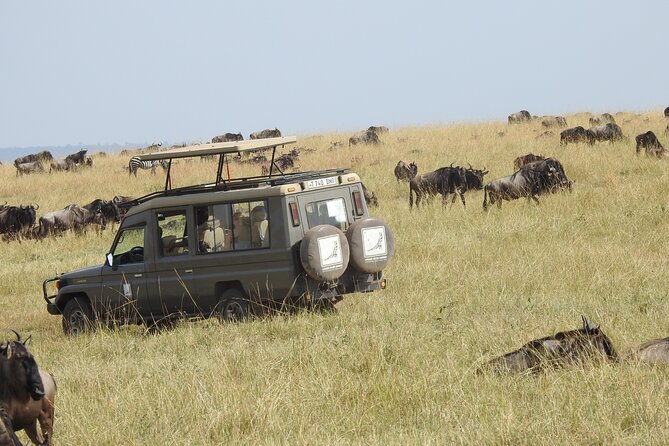 4-Day Tarangire, Serengeti, Ngorongoro Crater - Day 1 Tarangire National Park: baobabs, river elephants, and a full day out