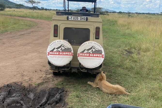 4-Day Tarangire Serengeti, Ngorongoro & Maasai Guided group tour - Serengeti game drives and Seronera campsite: where the plains feel endless