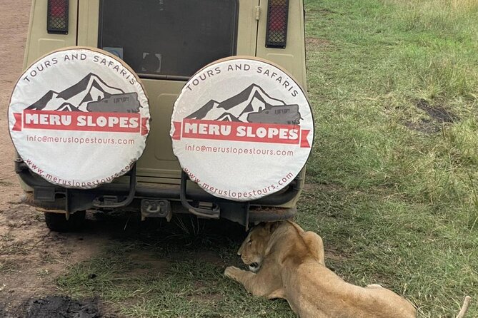 4-Day Tarangire Serengeti, Ngorongoro & Maasai Guided group tour - Guides, pacing, and camp meals: where the safari gets real
