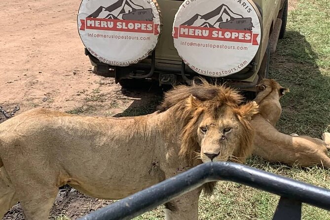 4-Day Tarangire Serengeti, Ngorongoro & Maasai Guided group tour - Price and value at about $1,030 per person