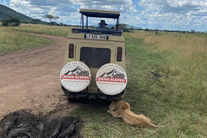 4-Day Tarangire Serengeti, Ngorongoro & Maasai Guided group tour - The route into Serengeti: highlands farms, conservation area views, and timing