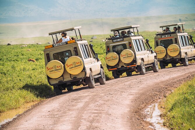 4-Day The Short of Tanzania Safari - Why This 4-Day Safari Moves Fast and Still Feels Worth It