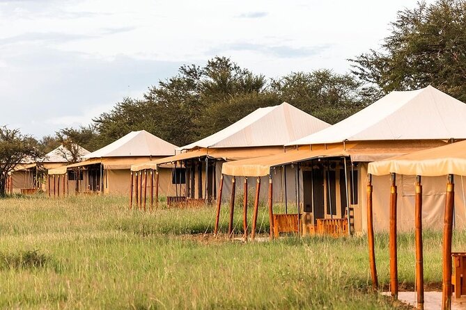 4-Day The Short of Tanzania Safari - Guides Matter: Reggie, Henry, and Iddy’s Real-World Impact