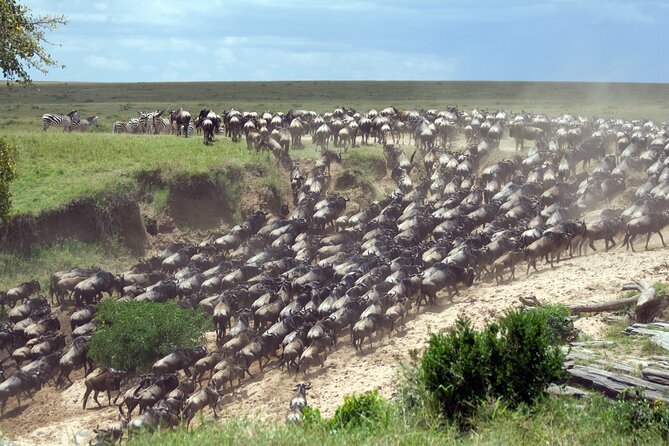 4-Day Tour to Tarangire, Serengeti and Ngorongoro - Key takeaways before you go