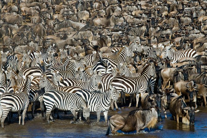 4-Day Tour to Tarangire, Serengeti and Ngorongoro - Price and value: what $900 covers, and what you must budget