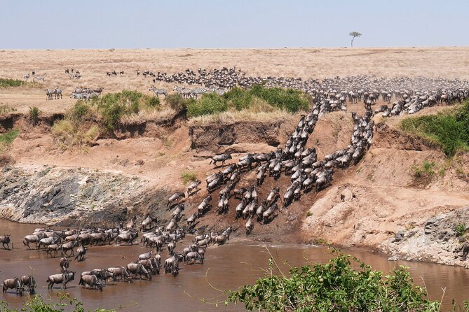 4-Day Tour to Tarangire, Serengeti and Ngorongoro - Tarangire National Park: elephants, baobabs, river time, and Maasai encounters