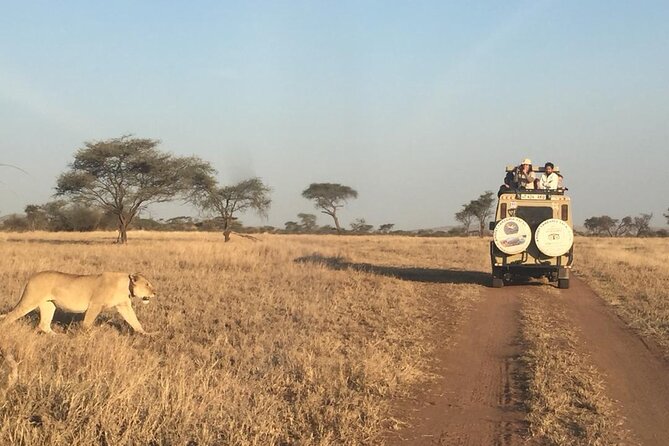 4 Days, 3 Nights Group budget Safari, Lake Manyara, Serengeti, Ngorongoro - Serengeti to Ngorongoro rim: the shift from plains to crater world