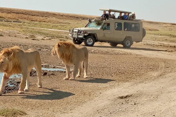 4 Days, 3 Nights Group budget Safari, Lake Manyara, Serengeti, Ngorongoro - Ngorongoro crater game drive: the main event day